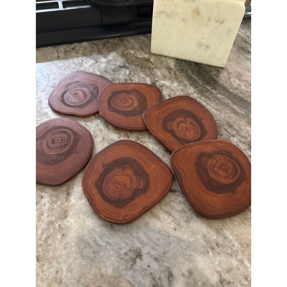 Set of 6 Wood Designer Coasters Cabin